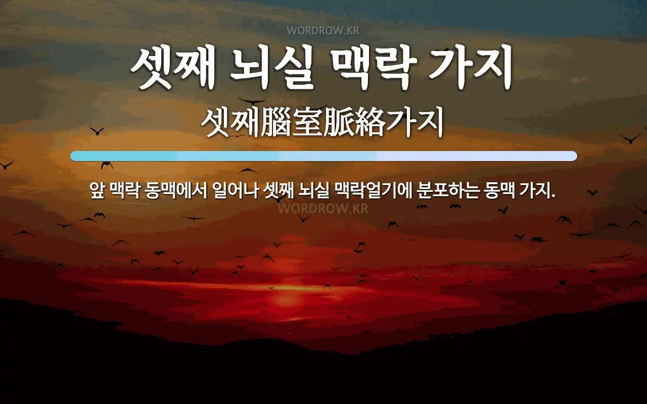 셋째 뇌실 맥락 가지 뜻