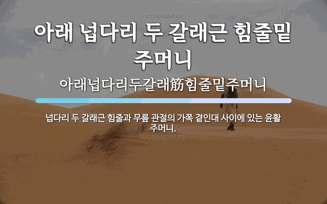 아래 넙다리 두 갈래근 힘줄밑 주머니 뜻