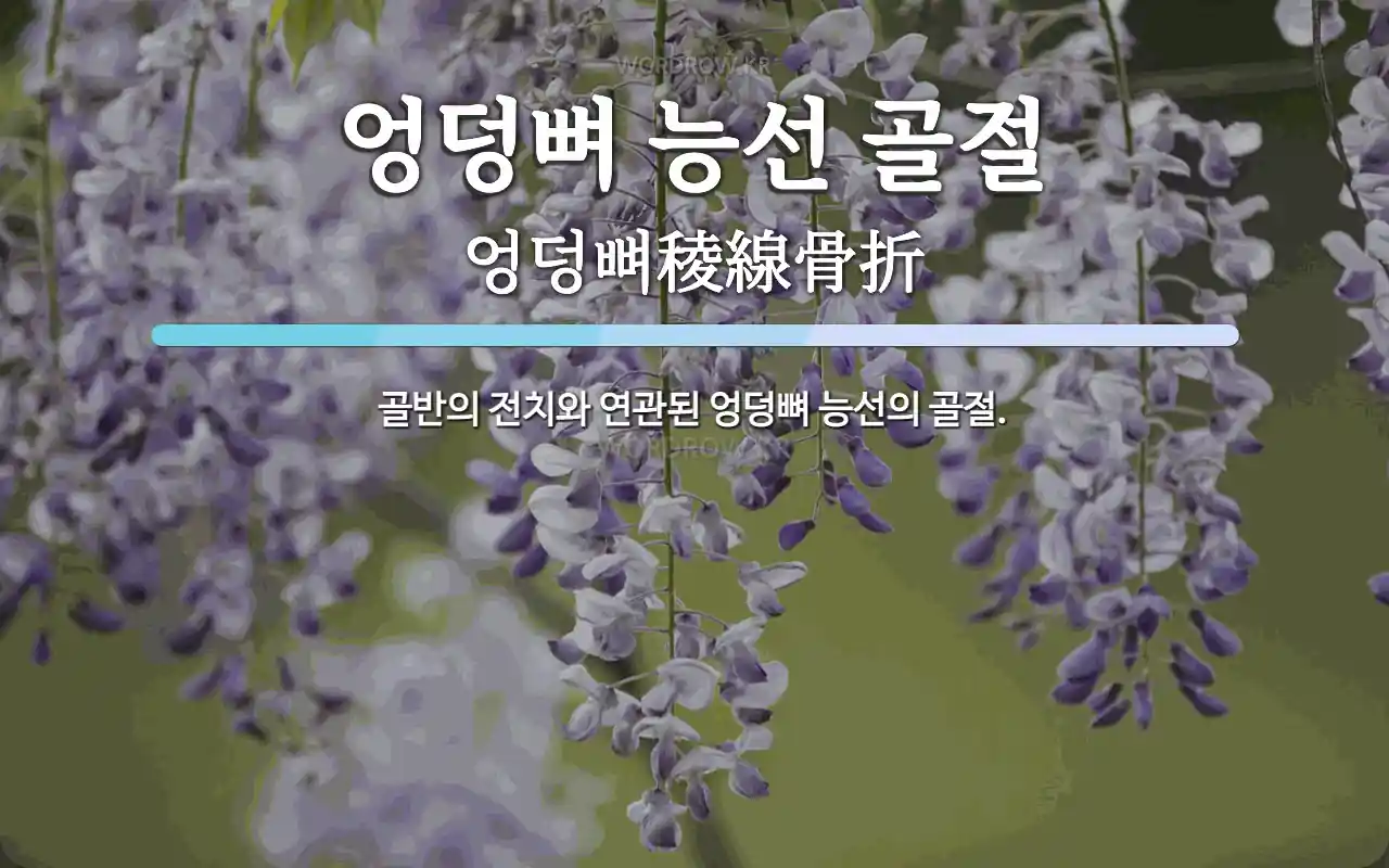 엉덩뼈 능선 골절 뜻