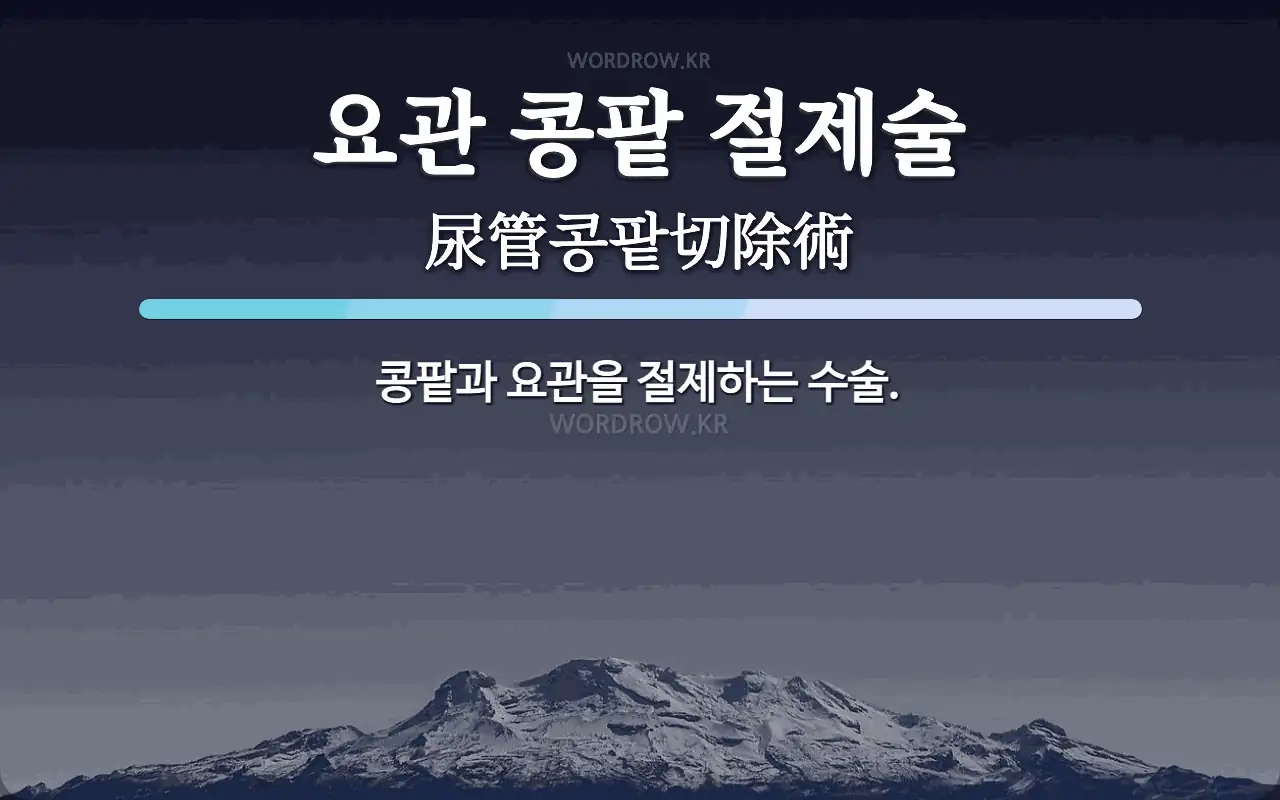 요관 콩팥 절제술 뜻