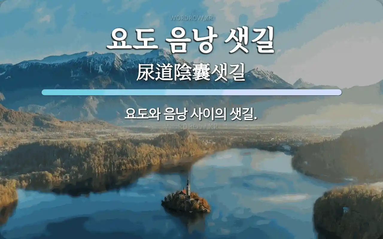 요도 음낭 샛길 뜻