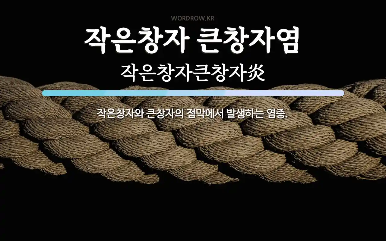 작은창자 큰창자염 뜻