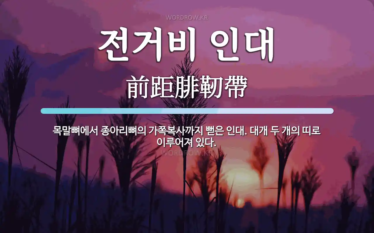 전거비 인대 뜻