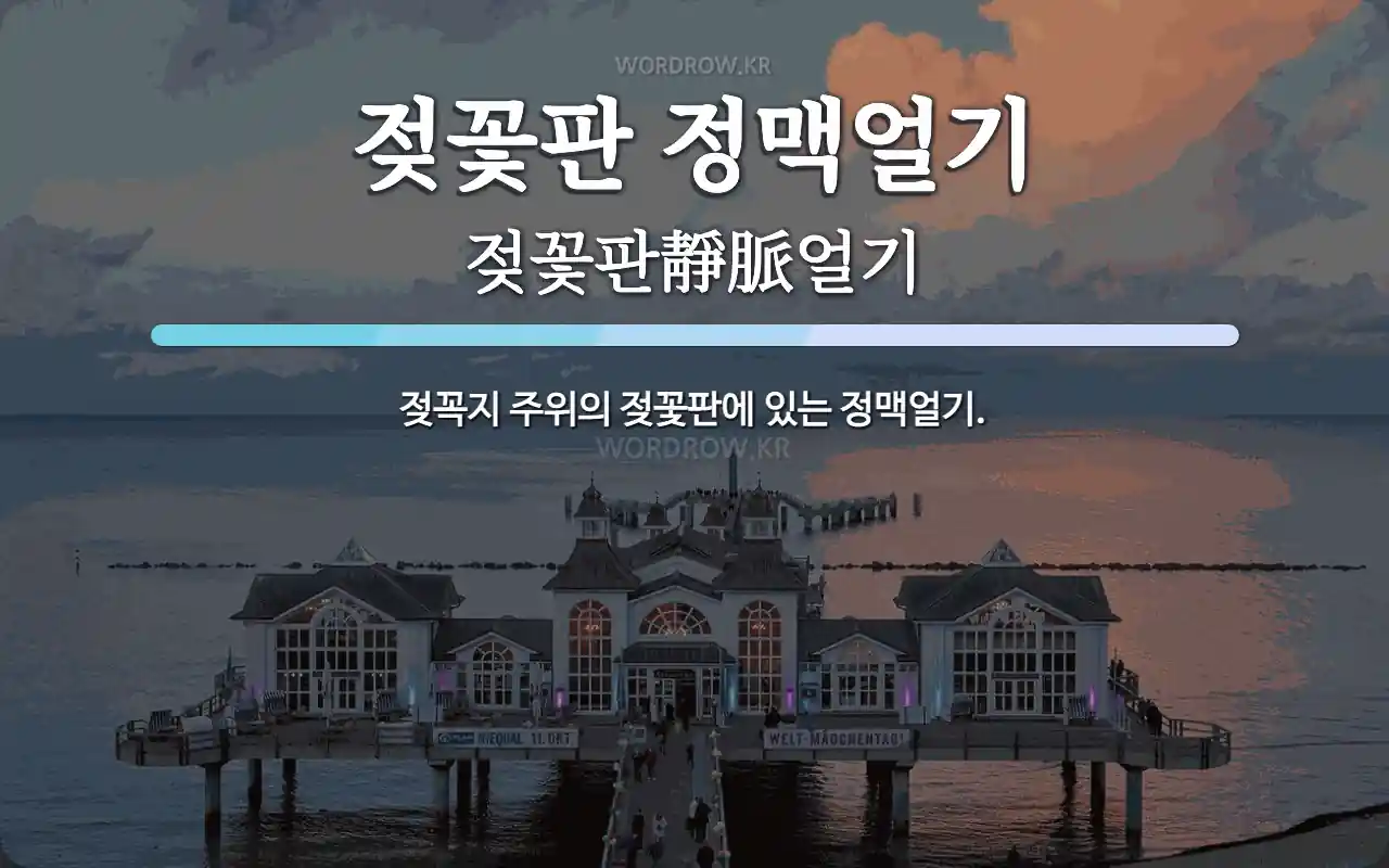 젖꽃판 정맥얼기 뜻