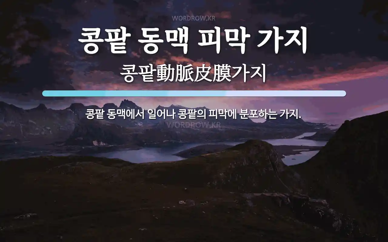 콩팥 동맥 피막 가지 뜻