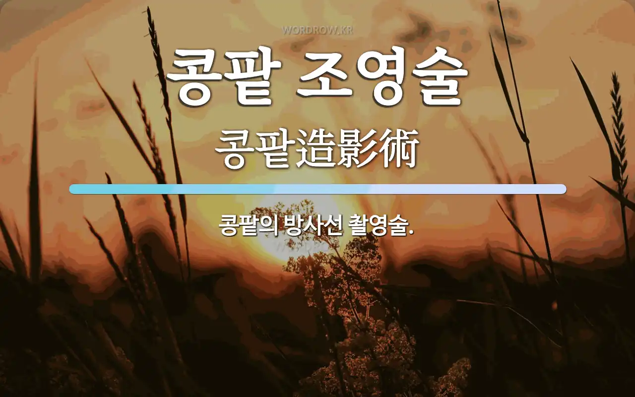 콩팥 조영술 뜻