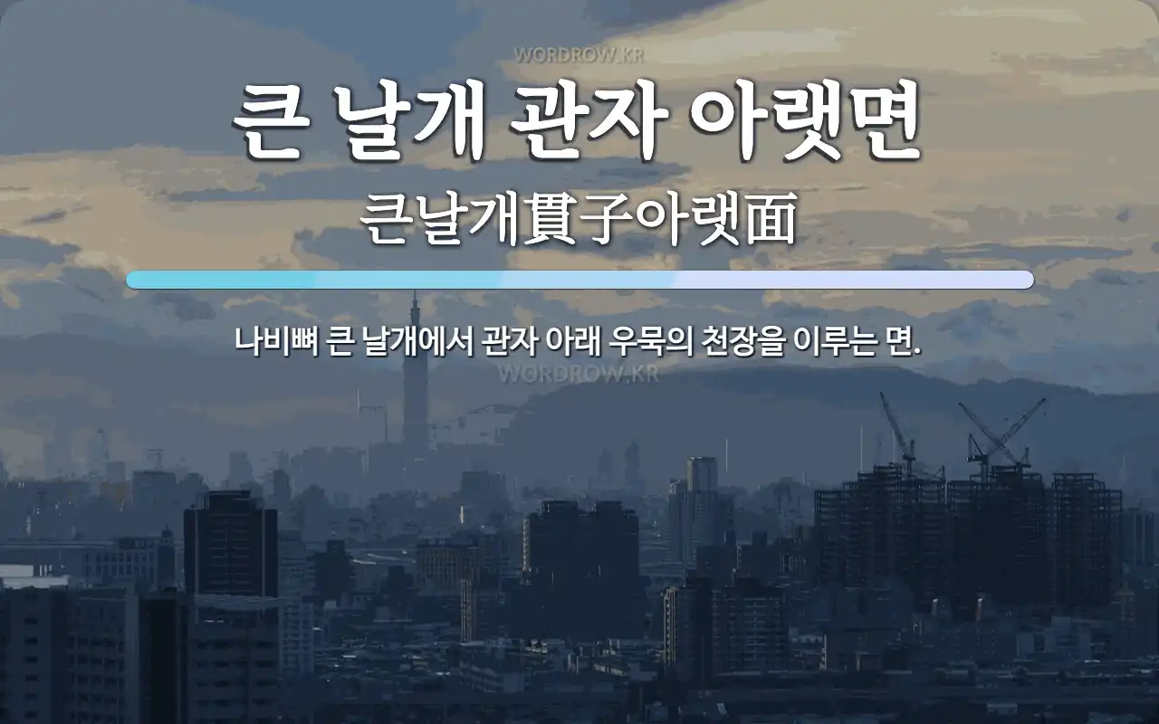 큰 날개 관자 아랫면 뜻