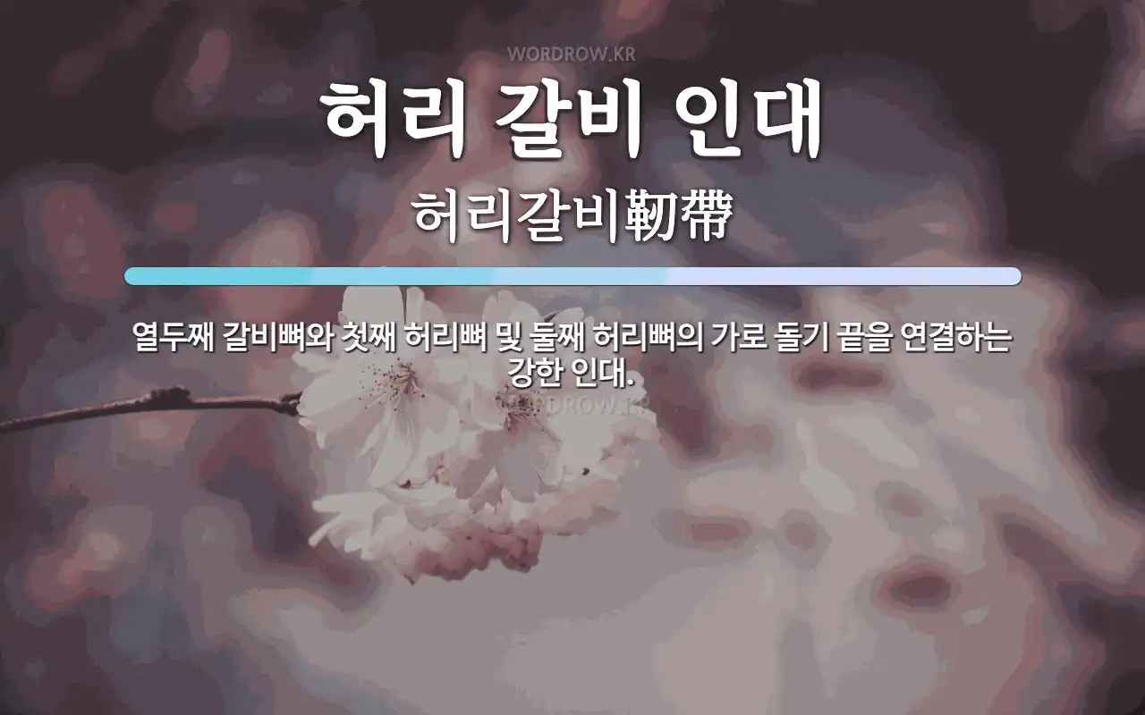 허리 갈비 인대 뜻