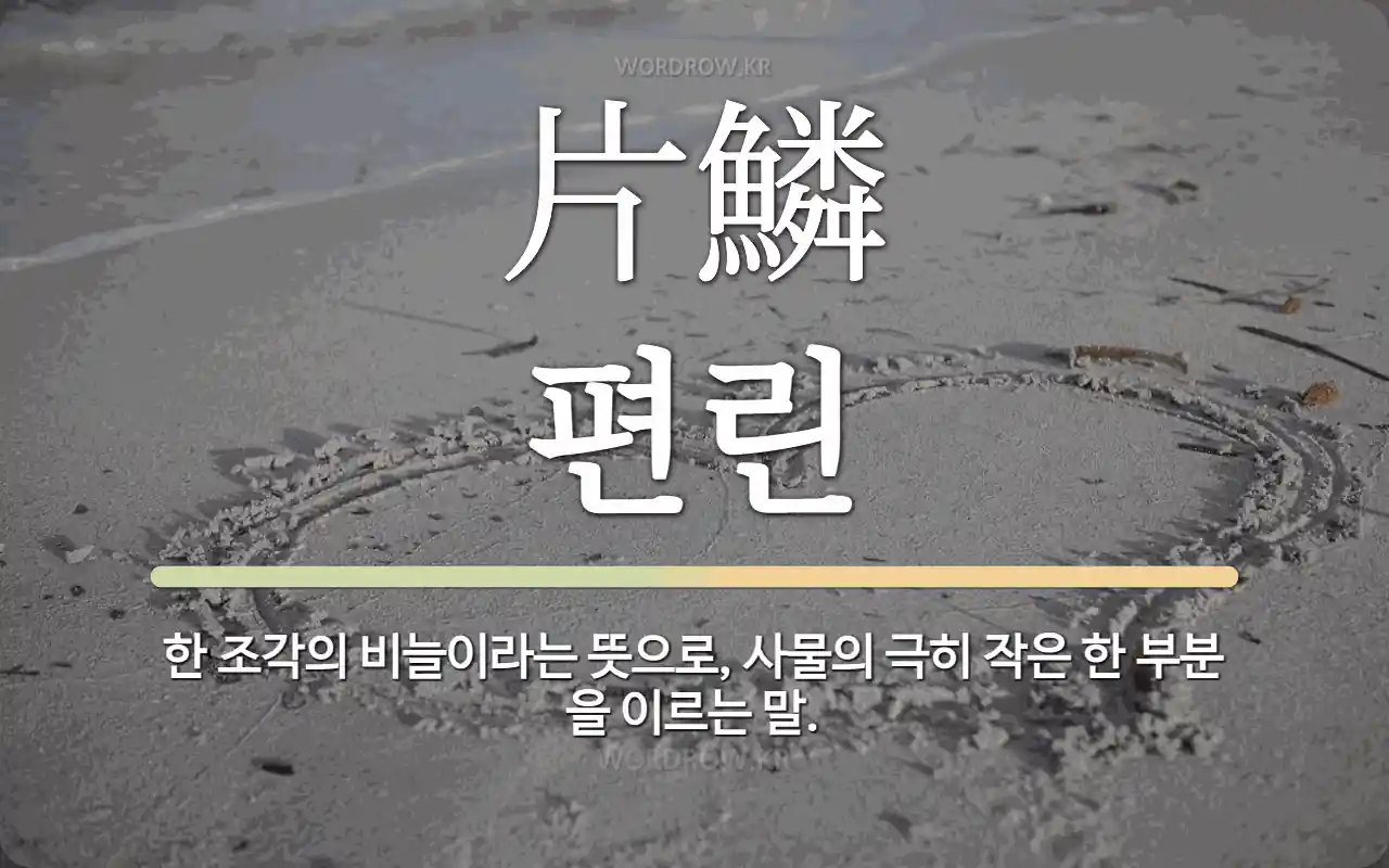한자 片鱗 편린