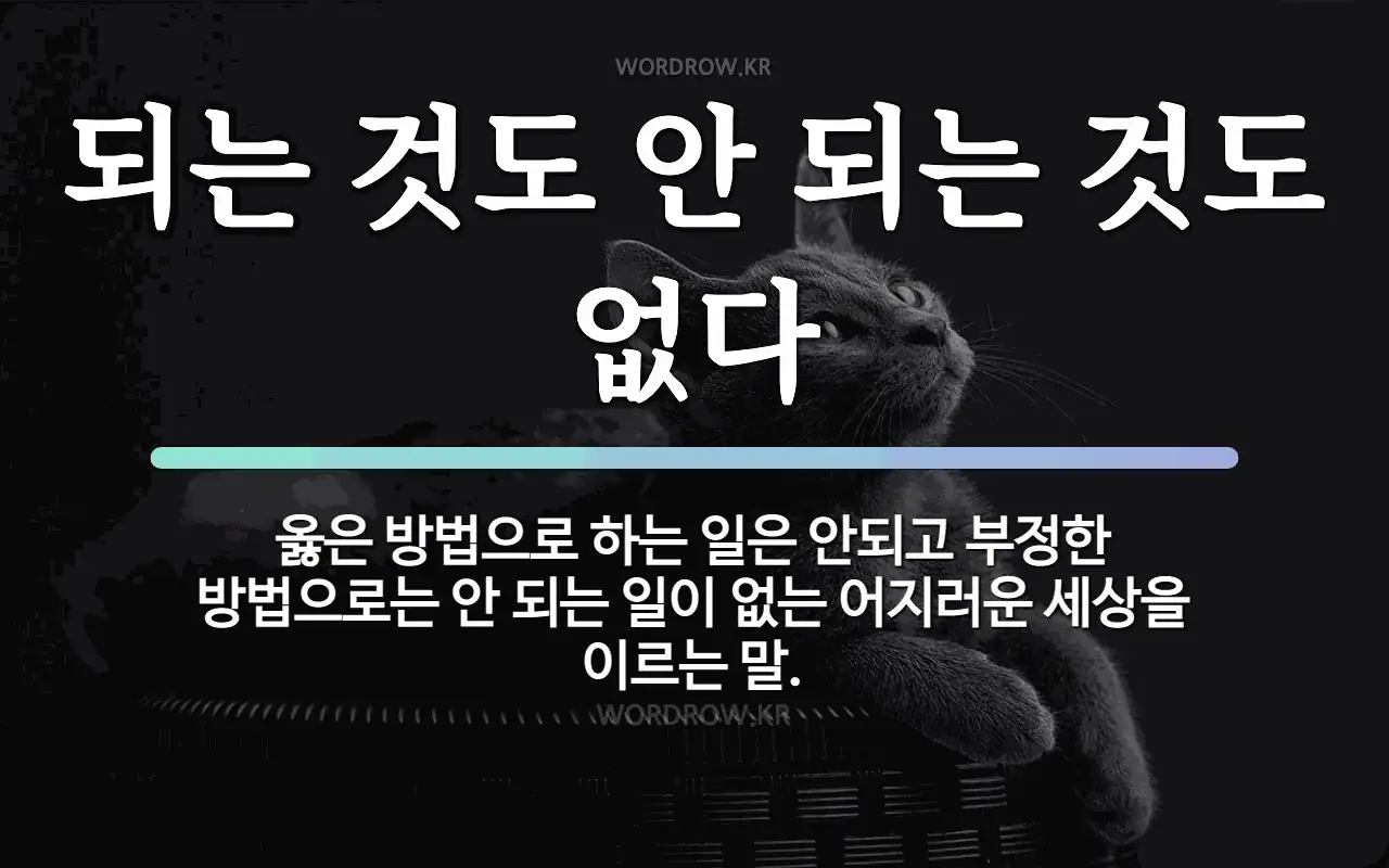 되는 것도 안 되는 것도 없다: 옳은 방법으로 하는 일은 안되고 부정한 방법으로는 안 되는 일이 없는 어지러운 세상을 이르는 말.